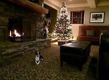 *** Hotel The Mammoth Creek Inn Mammoth Lakes United States