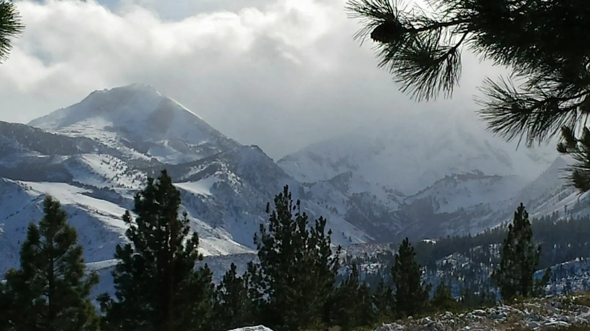 Otel The Mammoth Creek Inn Mammoth Lakes